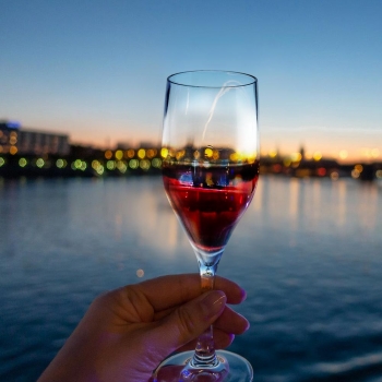 Champagne glass 15 cl.
