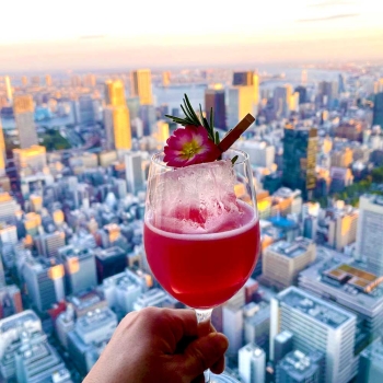 Reusable wineglass
