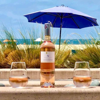 Reusable Cocktail glass