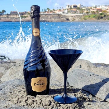 Black Cocktail Martini glass 23cl.